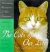Search : The Cats of Our Lives: Funny and Heartwarming Reminiscences of Feline Companions