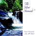 The Silent Serenade