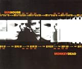 Monkey Dead
