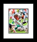 Miami Dolphins Reggie Bush 2011 Action Framed Picture 8x10