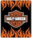 Harley - Davidson&Acirc;&reg; Throw Blanket