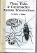 Fleas, Ticks and Cockroaches-Disease Transmitters