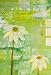 Painted Daisy Flowers - 18