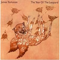 James Yorkston - The Year of the Leopard