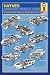 Haynes (American Muscle Cars) Art Poster Print - 24" X 36"