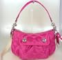 COACH Poppy Signature Sateen Groovy Handbag / Purse / Crossbody Style 13833
