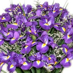 20 Fresh Iris Fresh Flower Bouquet