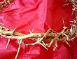 Crown of Thorns - The Christmas Crown of Thorns Golden Ornamental Authentic Crown