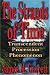 Book The Strands of Time: Transcendent Procession Phenomenon