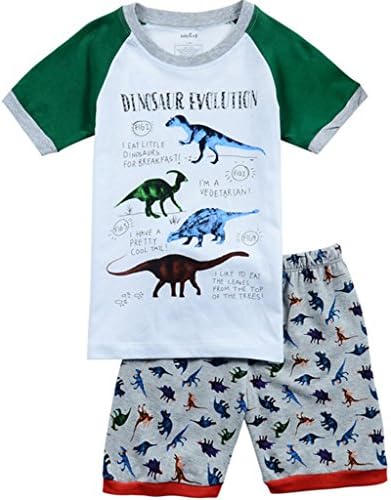 Cute Honey Dinosaur Little Boys Shorts Set Pajamas 100% Cotton Toddler Kids