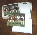 Boxed Note Cards - Horse - Pint Size Paints Design - Lang