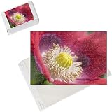 Photo Jigsaw Puzzle of Opium Poppy Flower from Ardea Wildlife Pets