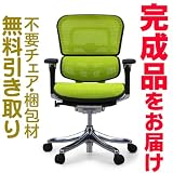 エルゴヒューマンプラス　完成品　ロータイプ　3D(ファブリック)メッシュ　グリーン　Ergohuman plus ＥＨＰ-ＬＡＭ　ＫＭD-34の画像