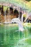 The Girl Who Rode Dolphins