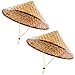 Funny Party Hats Asian Hat - Rice Patty Hat - Chinese Bamboo Hat - Sun Hat (2 Pack)