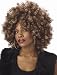 Womens Halloween Costume 70 Foxy Cleopatra Afro Fro Wig One Size Fits Most