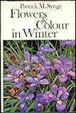 Flowers and colour in winter