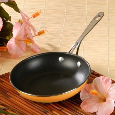 Roy's Fusion 8-Inch Non-stick Omelot Frying Pan
