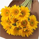 �y����J�Ԓd�z�y���������z�y��t��JA���[�����Y�Ђ܂��z�T�����b�`�t���b�V���I�����W10�{