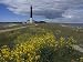 Estonia, Saaremaa: Landscape of Lighthouse Photographic Poster Print by Brimberg & Coulson, 12x9