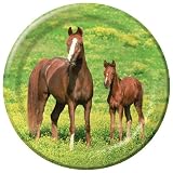 Wild Horses 9" Lunch Plates 8 Pack