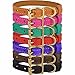 BronzeDog Leather Cat Collar with Brass Buckle Adjustable Small Pet Collars for Kitten Black Brown Pink Purple Red Turquoise (Neck Size 7