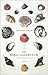 The Shell Collector: Stories