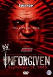 Review Silver Vision  / WWE - Unforgiven 2003