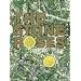 The Stone Roses - The Stone Roses