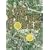 The Stone Roses - The Stone Roses [DVD]