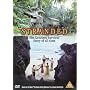Stranded [2002]