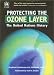Book Protecting the Ozone Layer: The United Nations History