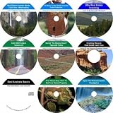The Incomparable Nine CD No Down Payment, Motivated Seller, Real Estate Mentoring System