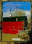 Barns (American Landmarks)