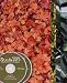 Books : Foliage Textures: Royalty-Free Art for Designers