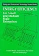 Energy Efficiency for the Small and Medium Enterprise (Energy and Environment Technology Source Books Series)