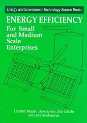 Energy Efficiency for the Small and Medium Enterprise (Energy and Environment Technology Source Books Series)