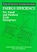 Energy Efficiency for the Small and Medium Enterprise (Energy and Environment Technology Source Books Series)