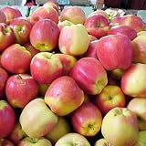 51VVAdrPVyL. SL160  Alternative Health & Herbs Remedies Apple Fruit Black Tea, Loose Leaf, 4 Ounce. Bags