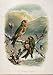 Illustrated London Almanack Winter Warble Rare Colour