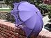 Lavender Parasol