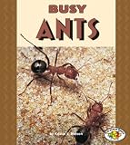 Busy Ants (Pull Ahead Books)