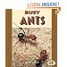 Busy Ants (Pull Ahead Books)
