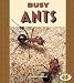 Busy Ants (Pull Ahead Books)