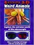 Weird Animals (Exteme 3d)