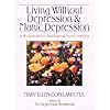 Living without depression and manic depression workbook