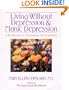 Living Without Depression and Manic Depression: A Workbook for Maintaining Mood Stability (New Harbinger Workbooks)