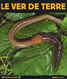 Le ver de terre