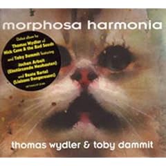 Morphosa Harmonia