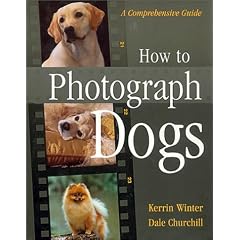 How to Photograph Dogs: A Comprehensive Guide
